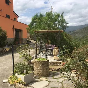  Apartment Olivo Al Mare - By Host4u Italien
