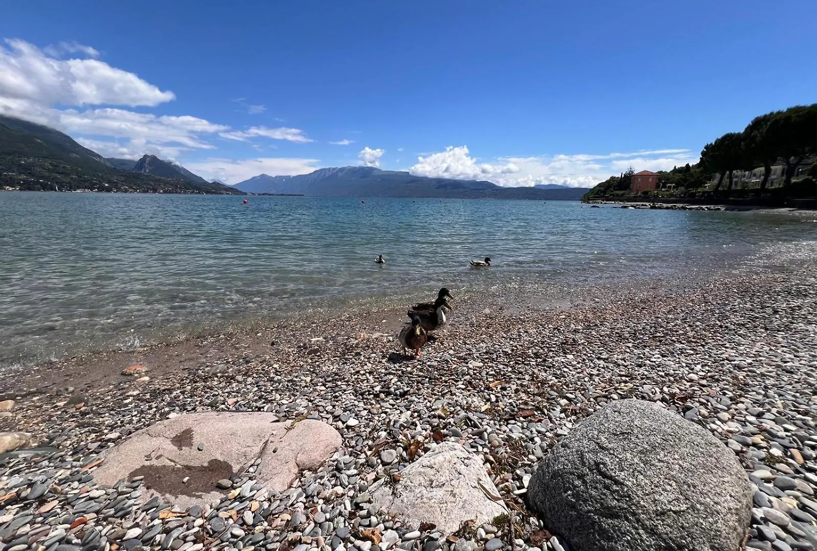 Apartment La Finestra Sul Garda Dreaming Holidays San Felice del Benaco