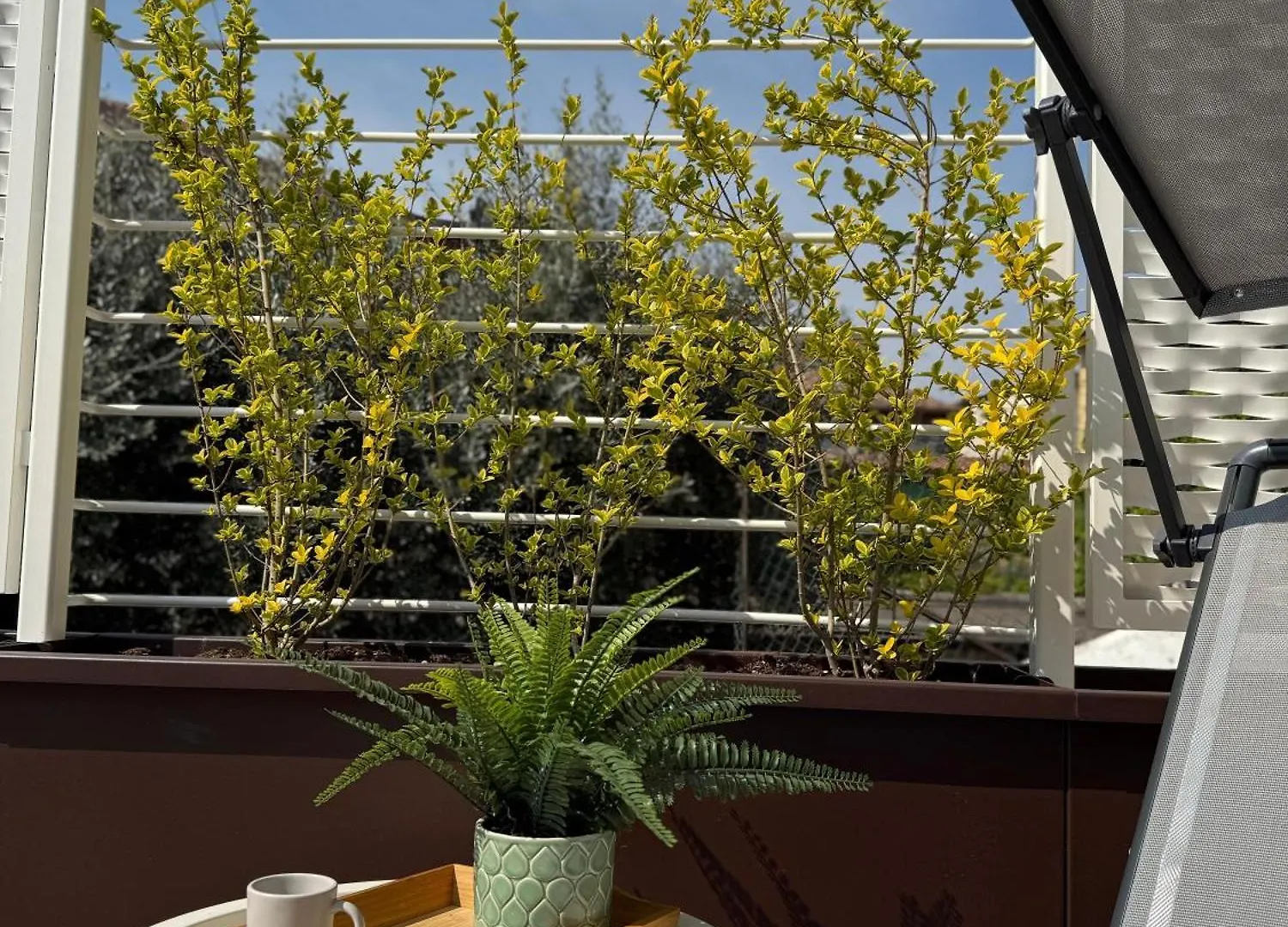 La Finestra Sul Garda Dreaming Holidays San Felice del Benaco Apartment